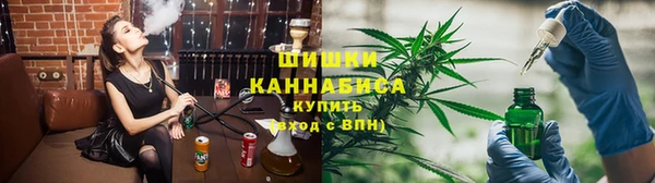 прущие грибы Белокуриха