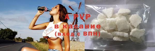 прущие грибы Белокуриха