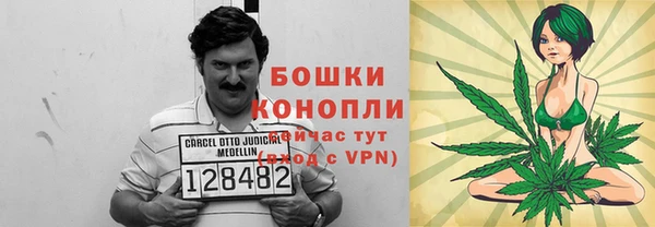 прущие грибы Белокуриха