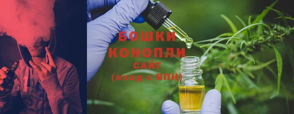прущие грибы Белокуриха