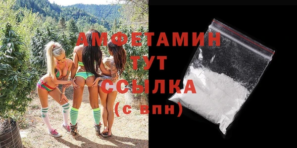 прущие грибы Белокуриха