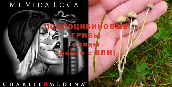 ALPHA-PVP Беломорск