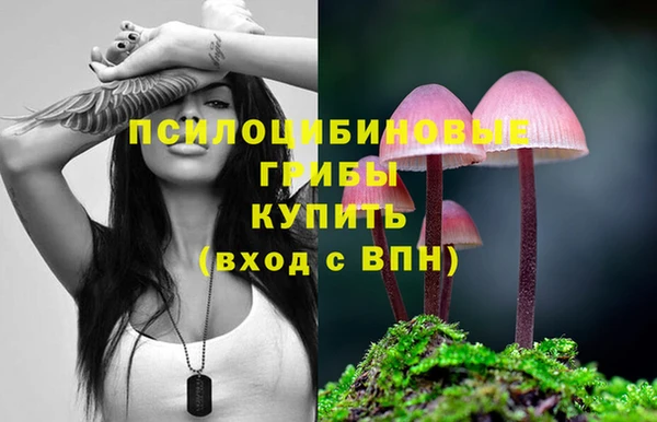 прущие грибы Белокуриха