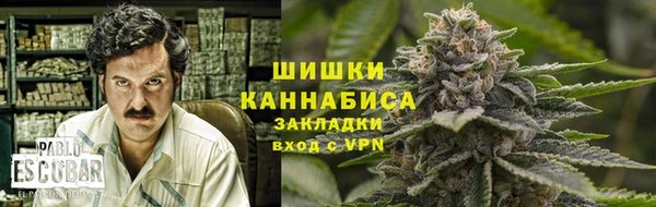 прущие грибы Белокуриха