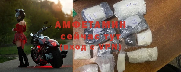 прущие грибы Белокуриха