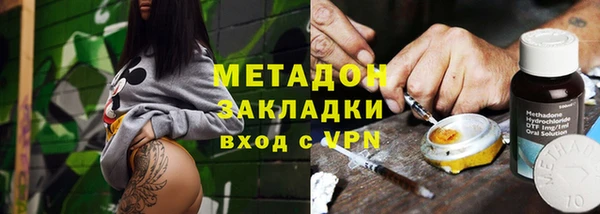 прущие грибы Белокуриха
