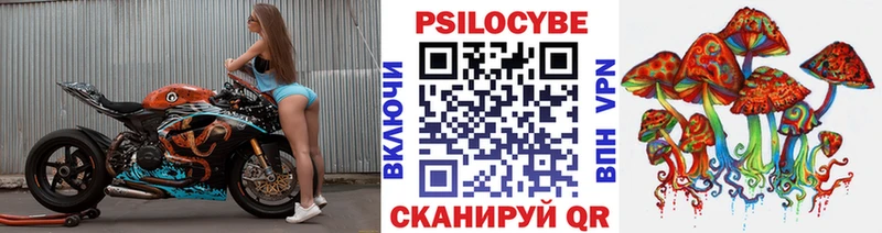 где продают   Бузулук  Псилоцибиновые грибы Cubensis 