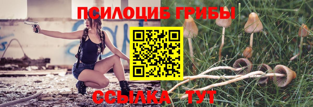 Бузулук  Псилоцибиновые грибы мицелий  Вход с VPN  Псилоцибиновые грибы Cubensis 